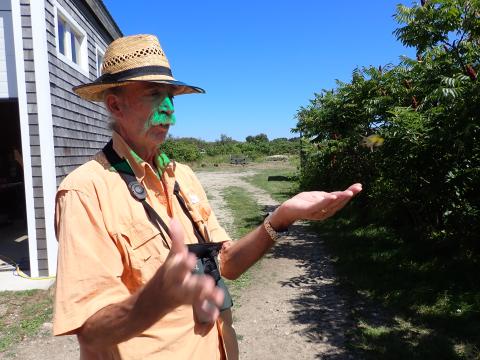 man releasing a warbler