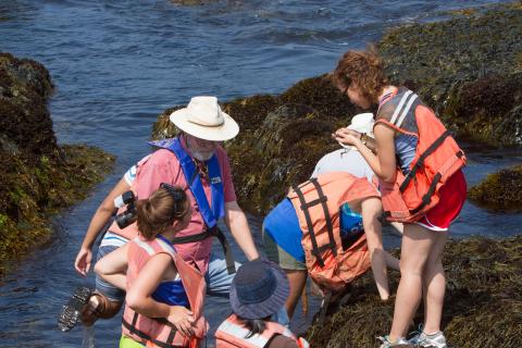 a group of students and instructor exploring the rocky coastline