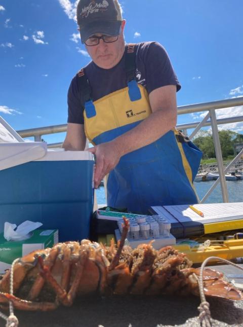 a man with a lobster in the foreground